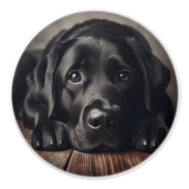 Ledsen Black Labrador Retriever Hund Pet Animal Knopp (Framsidan)