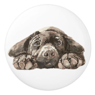 Ledsen Black Labrador Retriever Hund Pet Animal Knopp