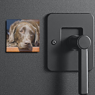 Ledsen choklad Labrador Magnet