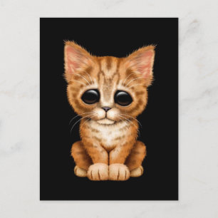 Ledsen Cute Orange Tabby Kitten Cat on Black Vykort