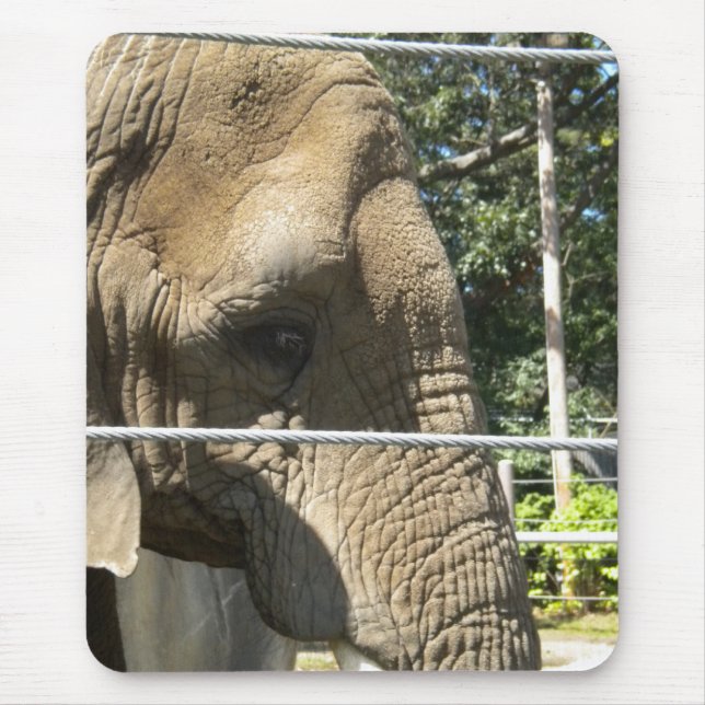 Ledsen Elephant Musmatta (Framsidan)