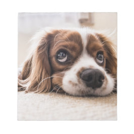 Ledsen-Eyed Cocker Spain Hund Anteckningsblock