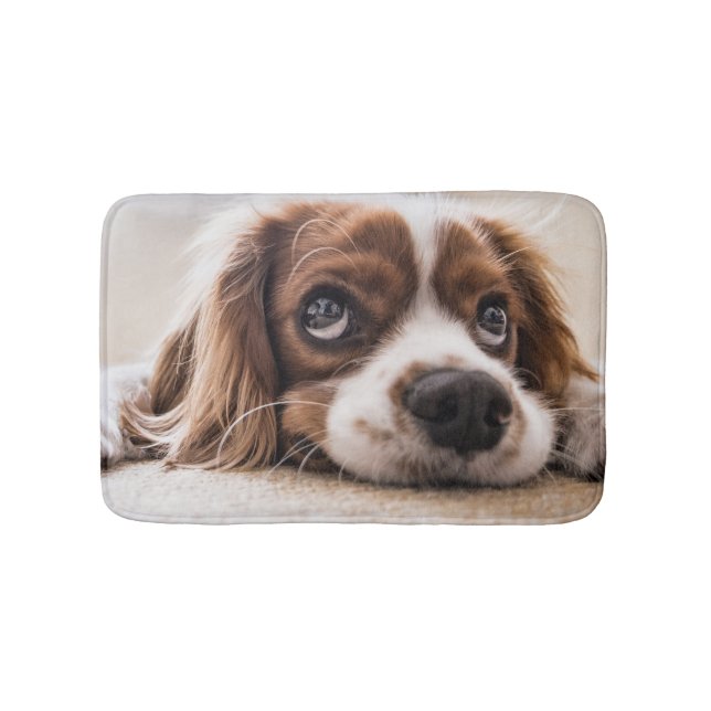 Ledsen-Eyed Cocker Spain Hund Badrumsmatta (Framsidan)