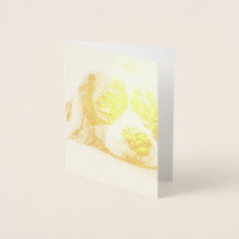 Ledsen-Eyed Cocker Spain Hund