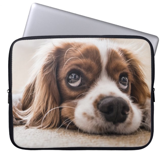 Ledsen-Eyed Cocker Spain Hund Laptop Fodral (Framsidan)