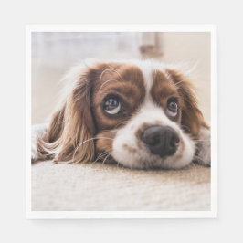 Ledsen-Eyed Cocker Spain Hund Pappersservett