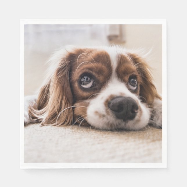 Ledsen-Eyed Cocker Spain Hund Pappersservett (Framsidan)