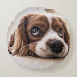 Ledsen-Eyed Cocker Spain Hund Rund Kudde