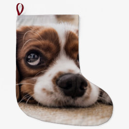 Ledsen-Eyed Cocker Spain Hund Stor Julstrumpa