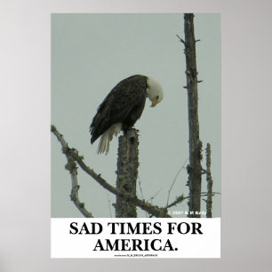 LEDSEN FÖR AMERIKA. POSTER