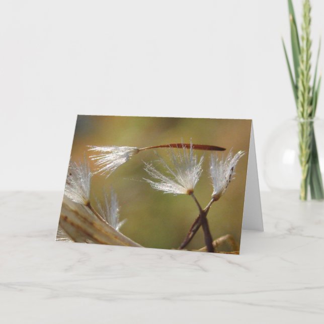 Ledsen för din förlust Maskros med dikt Kort (Framsida)