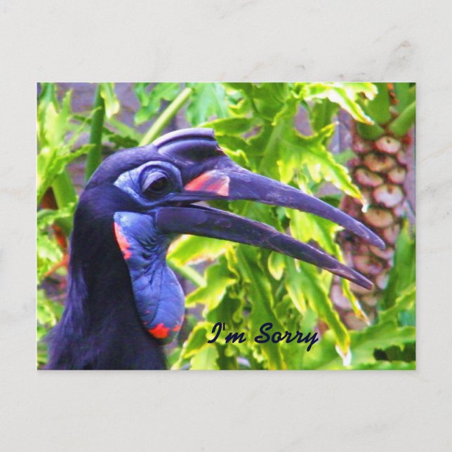 Ledsen/ Förlåt mig/ Saknar dig_Postkort Vykort (Framsida)