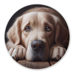 Ledsen Golden Labrador Retriever Hund Pet Animal Knopp