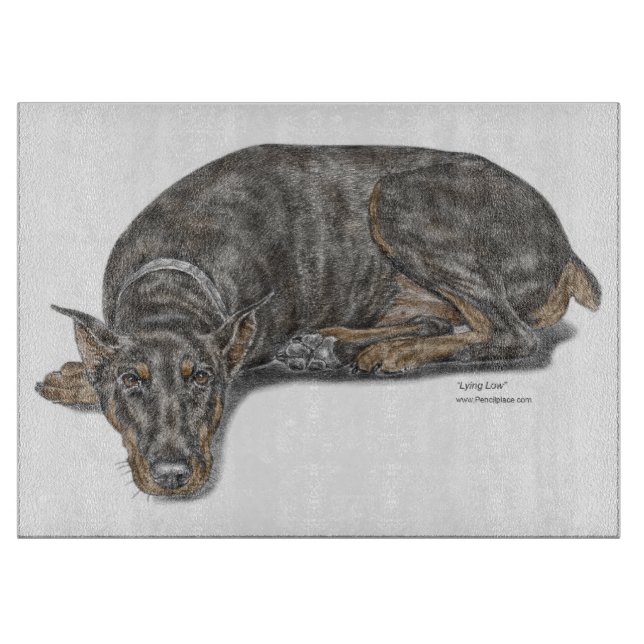 Ledsen Guilty Tittar Doberman (Framsidan)