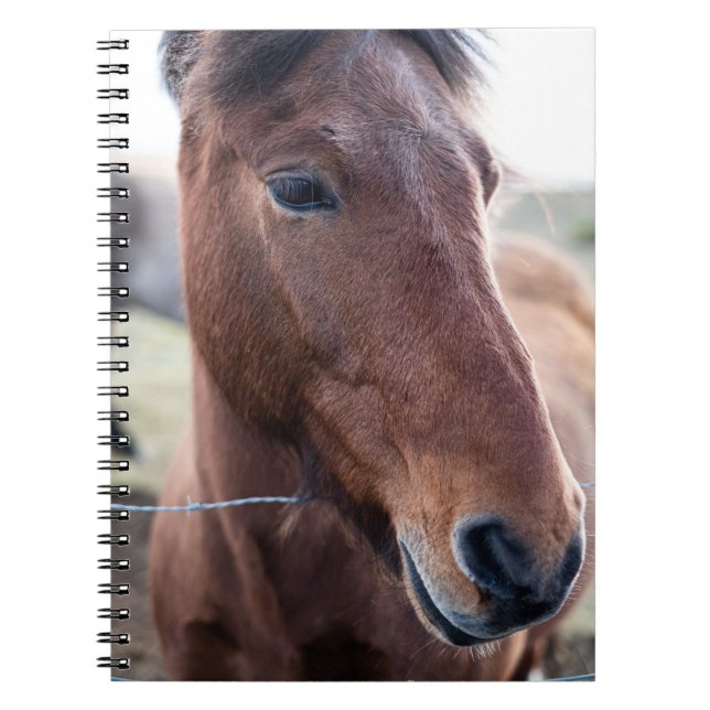 LEDSEN HORSE ANTECKNINGSBOK (Framsidan)