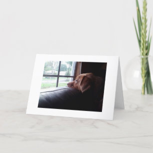 LEDSEN HUND SÄGER: "MISSAR DIG PÅ DIN BIRTHDAY" KORT