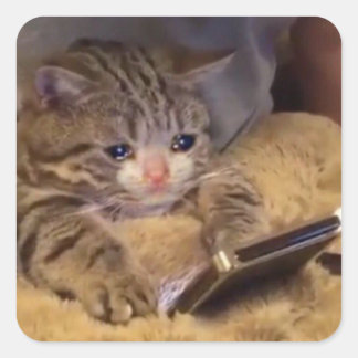 ledsen katt på mobil fyrkantigt klistermärke