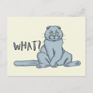 Ledsen katt - vad? vykort