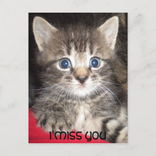 Ledsen Kitten - JAG MISSAR DIN vykort