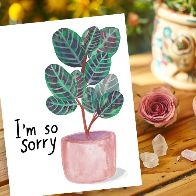 Ledsen kondoleanser Calathea Prayer Plant Akvarell Vykort (Sorry Condolences Sympathy Calathea Prayer Plant Watercolor Postcard
)