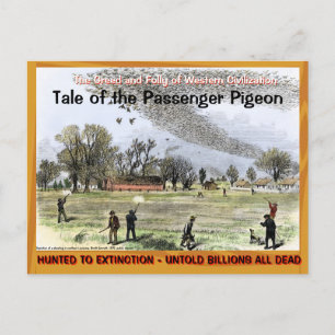 Ledsen Ledsen Tale of the Passenger Pigeon -~ Vykort