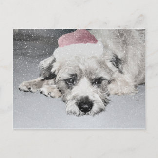 Ledsen lilla jultomte hund helg vykort
