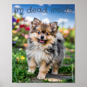 Ledsen och endast husdjur Poster utskrift: Jag är