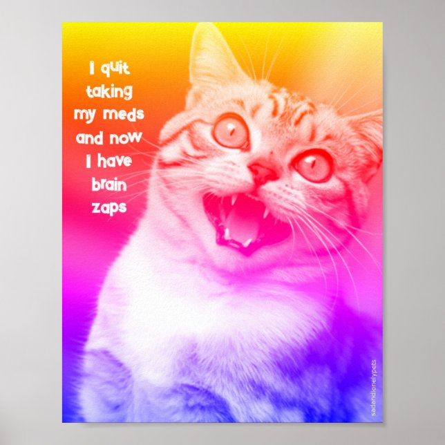 Ledsen och ensamstående husdjur Poster utskrift: H (Framsidan)