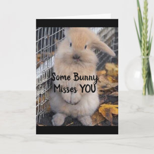 LEDSEN OCH UPPSÄTTNING - SAKNAR "DU"-KORT KORT