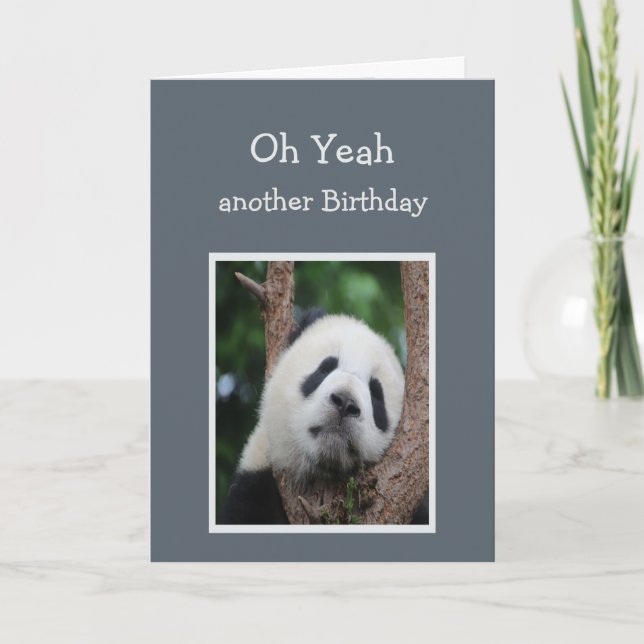 Ledsen Panda Bear Birthday Humor Kort (Framsida)