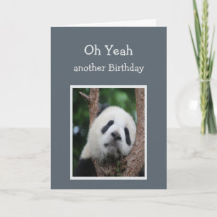 Ledsen Panda Bear Birthday Humor Kort