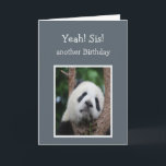 Ledsen Panda Bear Grattis på födelsedagen Sister H Kort<br><div class="desc">Ledsen Panda Bear Sister Birthday Humor för de människor som inte tittar fram emot sin födelsedag</div>