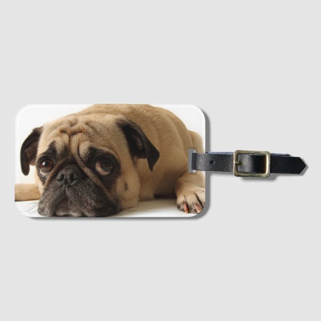 Ledsen Pug Bagagebricka (Framsida horisontal)