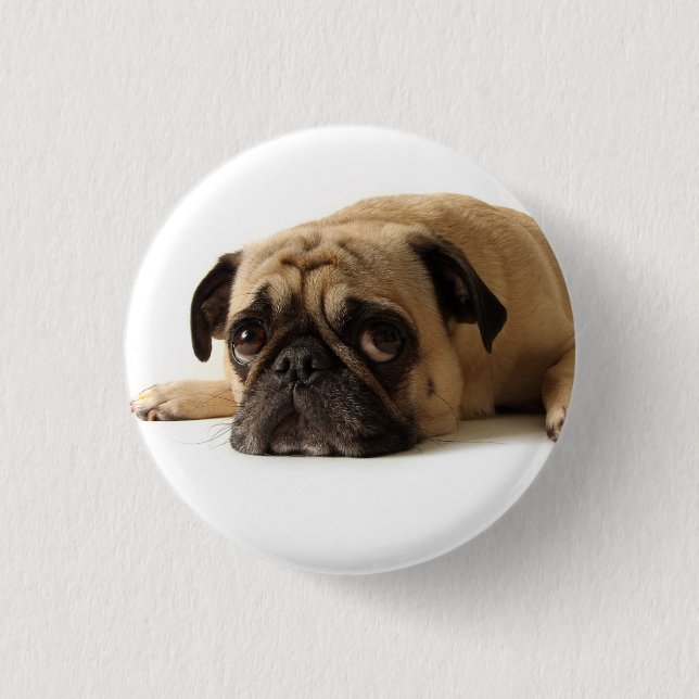 Ledsen Pug Knapp (Framsida)