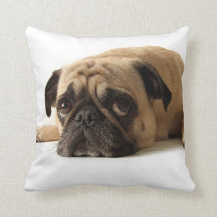 Ledsen Pug Kudde