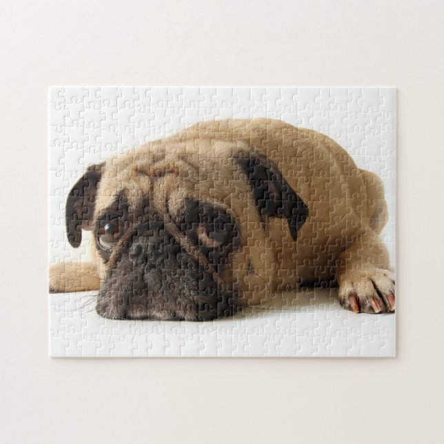 Ledsen Pug Pussel (Horisontell)