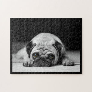 Ledsen Pug Pussel