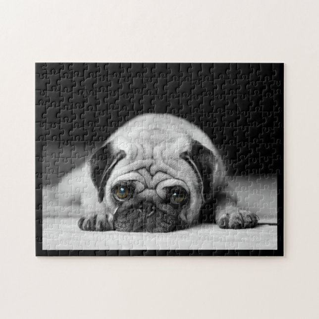 Ledsen Pug Pussel (Horisontell)