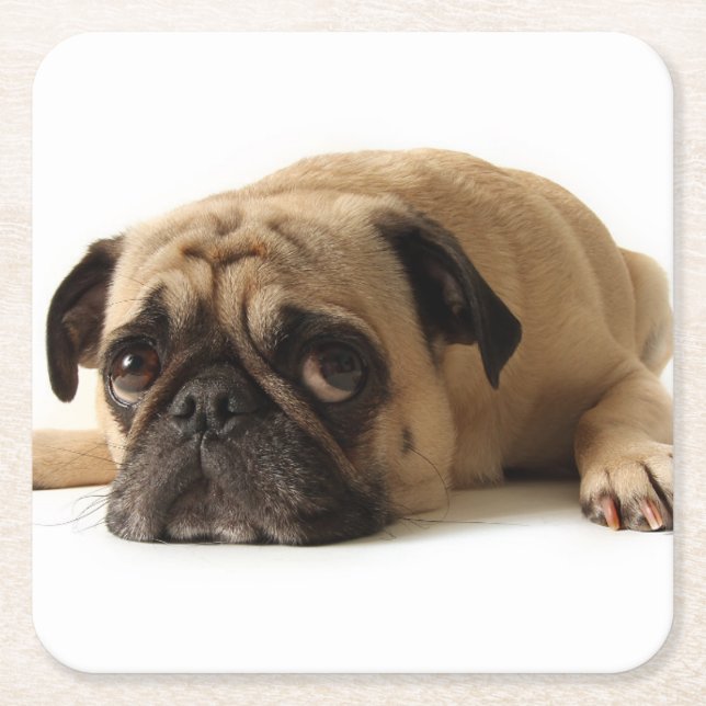 Ledsen Pug Underlägg Papper Kvadrat (Framsidan)