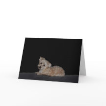 Ledsen Puppy Hämta källkort