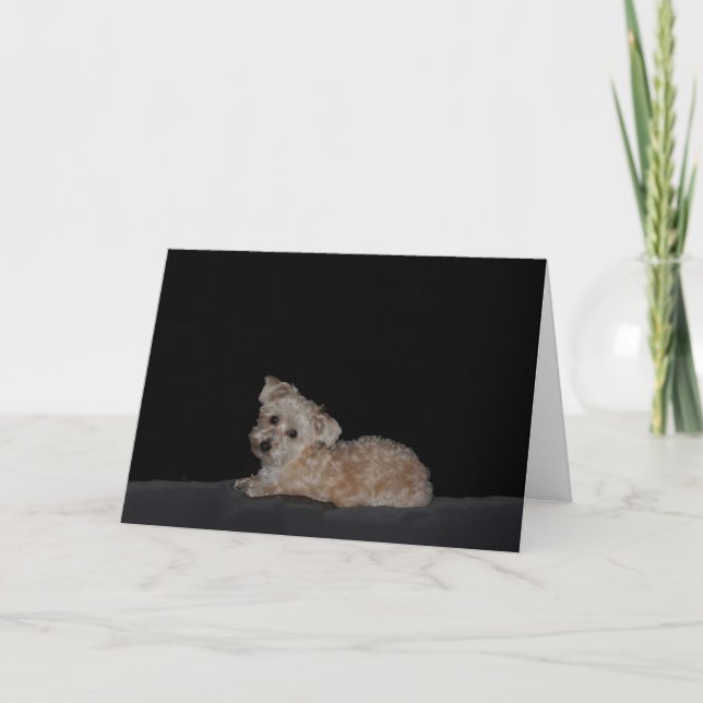 Ledsen Puppy Hämta källkort Kort (Framsida)