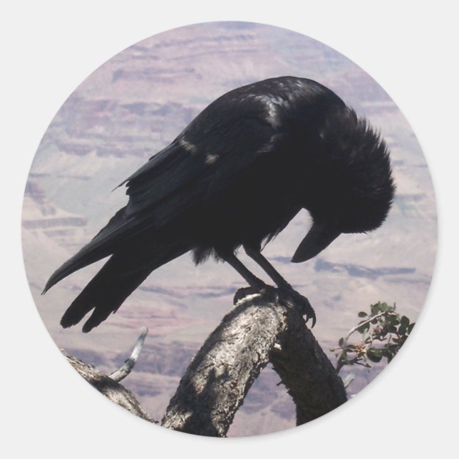 Ledsen Raven Stickers 01 Runt Klistermärke (Framsida)
