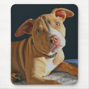 Ledsen vovve Mousepad för hund för valpgroptjur Musmatta