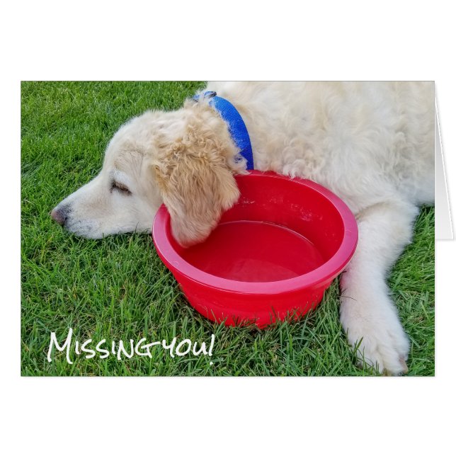 ledsens hund saknas hälsningskort (Framsidan Horizontal)