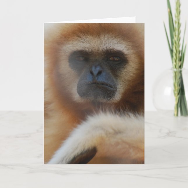 Ledset Gibbonhälsningkort Kort (Framsida)