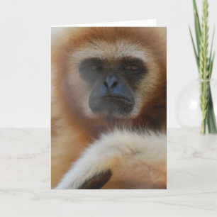 Ledset Gibbonhälsningkort Kort