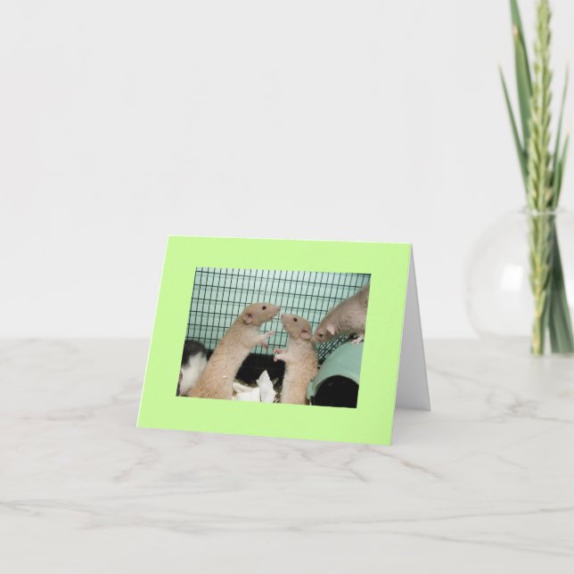 ledset kort (Framsida)