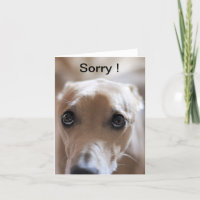 Ledset!