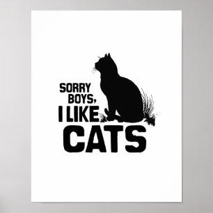 LEDSNA POJKAR GILLAR JAG KATTER - .PNG POSTER