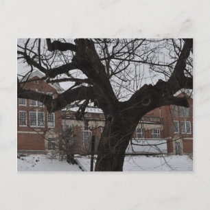 Lee High Vykort